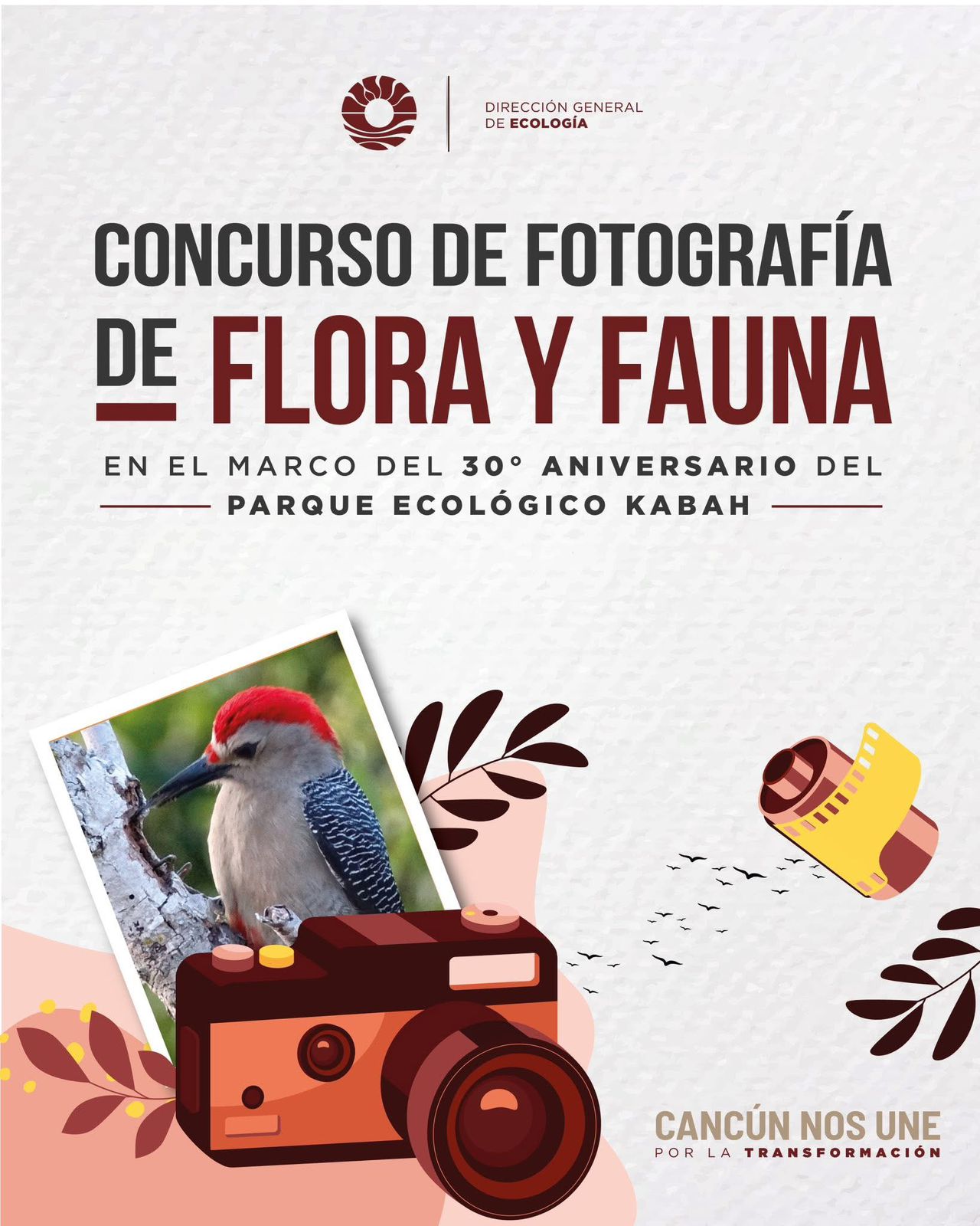 noticias_principales